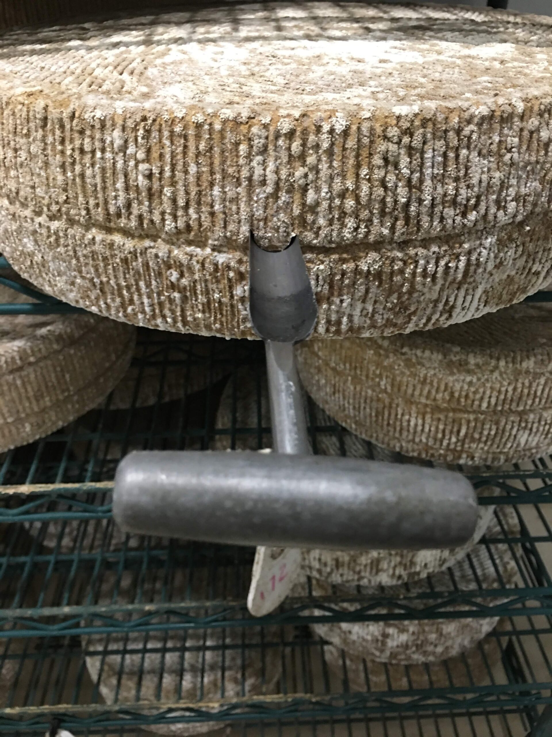 WINE CHEESE TECHNO